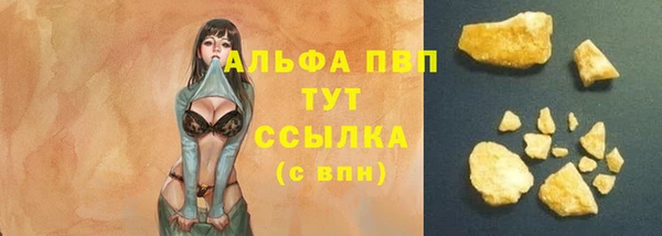 сатива Горнозаводск