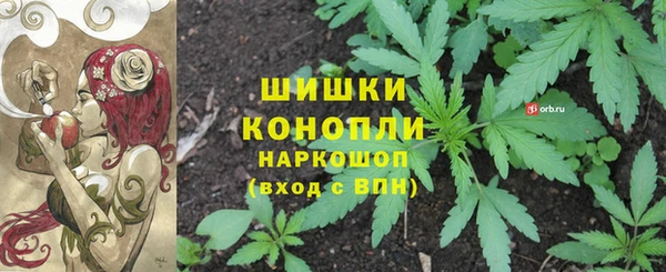 PSILOCYBIN Горняк