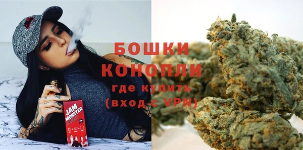 ECSTASY Вяземский