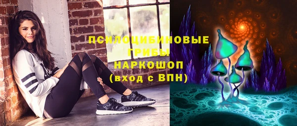 тгк Верея