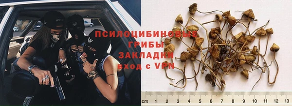 мяу мяу мука Волосово